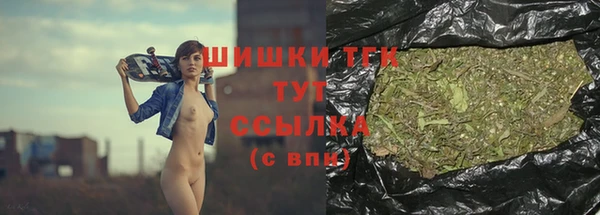 шишки Лабытнанги