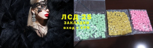 шишки Лабытнанги