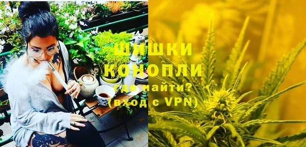шишки Лабытнанги