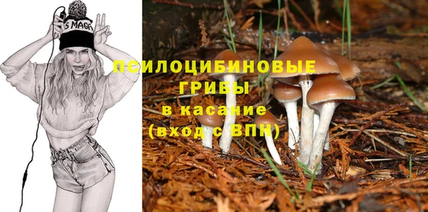 шишки Лабытнанги
