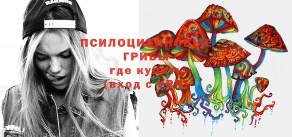 шишки Лабытнанги