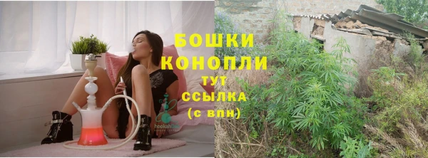 шишки Лабытнанги