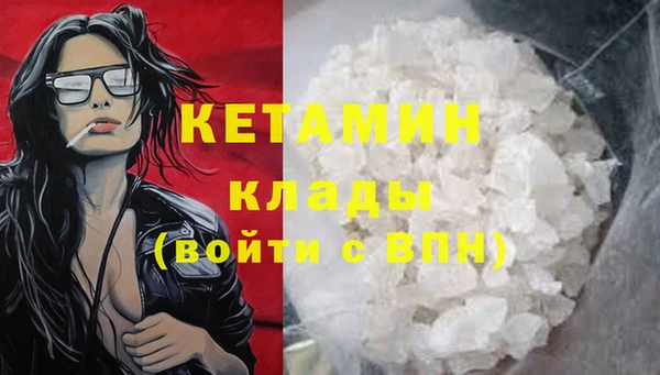 шишки Лабытнанги