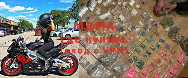 шишки Лабытнанги