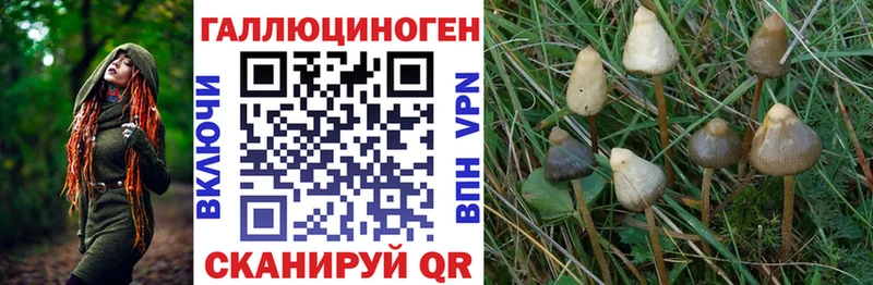 Галлюциногенные грибы мухоморы  как найти закладки  Людиново 