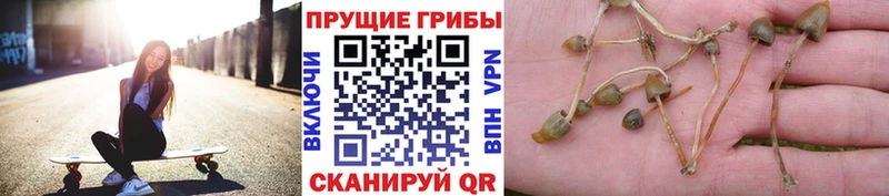 Галлюциногенные грибы мухоморы Людиново